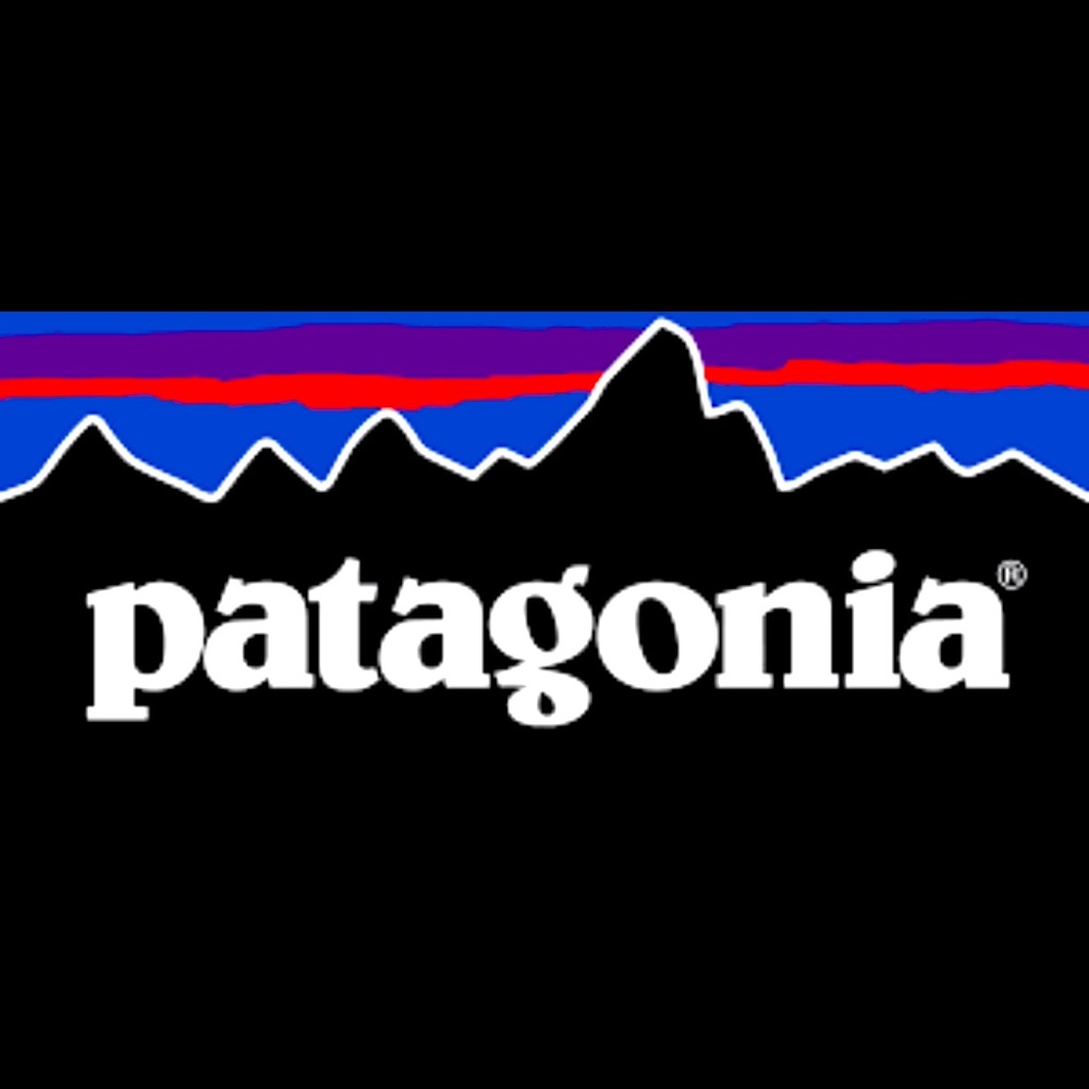 NWT size small Patagonia shorts